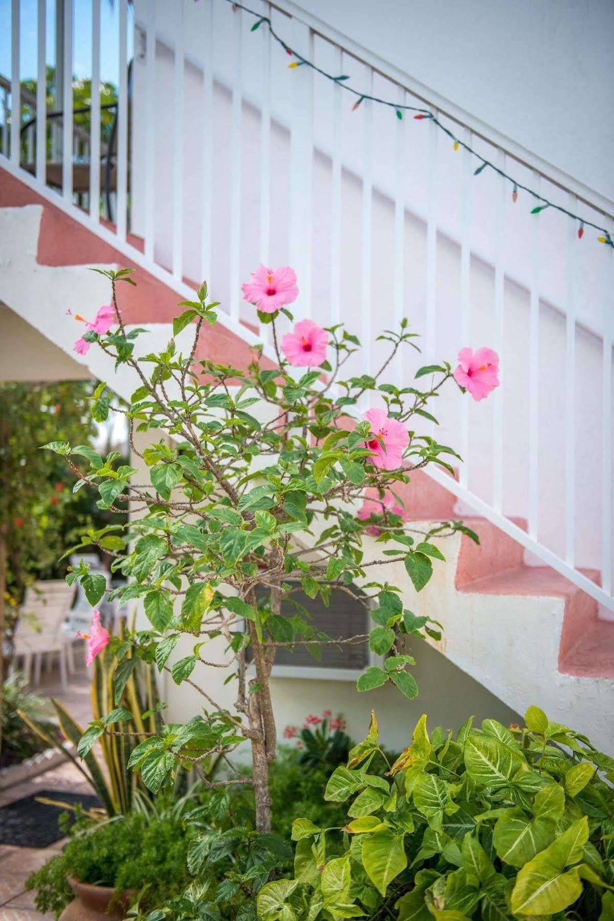 Shore Haven Resort Inn 로더데일-바이더시 외부 사진